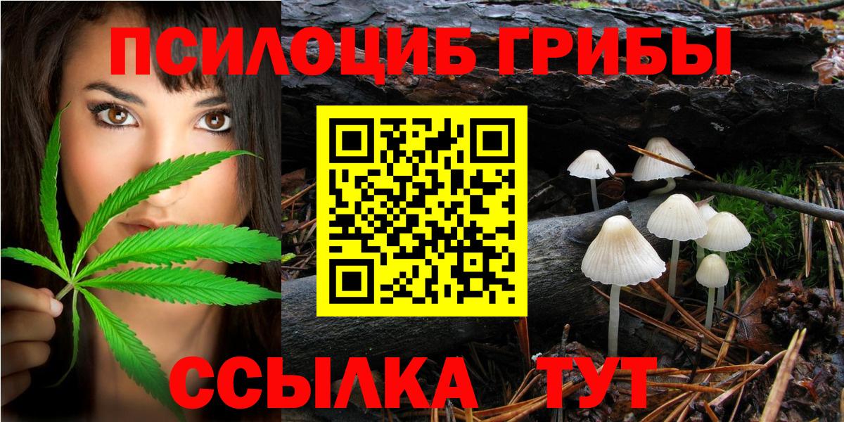 Галлюциногенные грибы Psilocybe  Гуково 