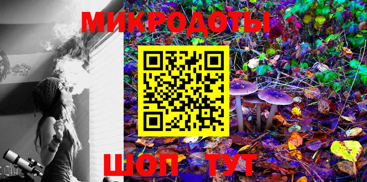 Псилоцибиновые грибы Psilocybe  Вход с VPN  Гуково 