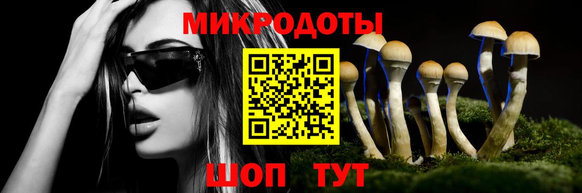 Галлюциногенные грибы прущие грибы Гуково